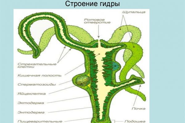 Наркоплощадки кракен