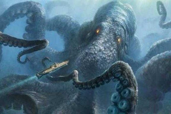 Kraken 25 at