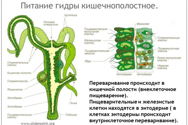 Кракен через впн