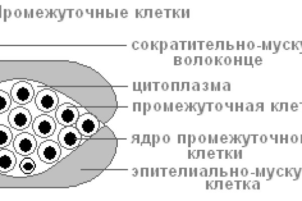 Кракен нрк